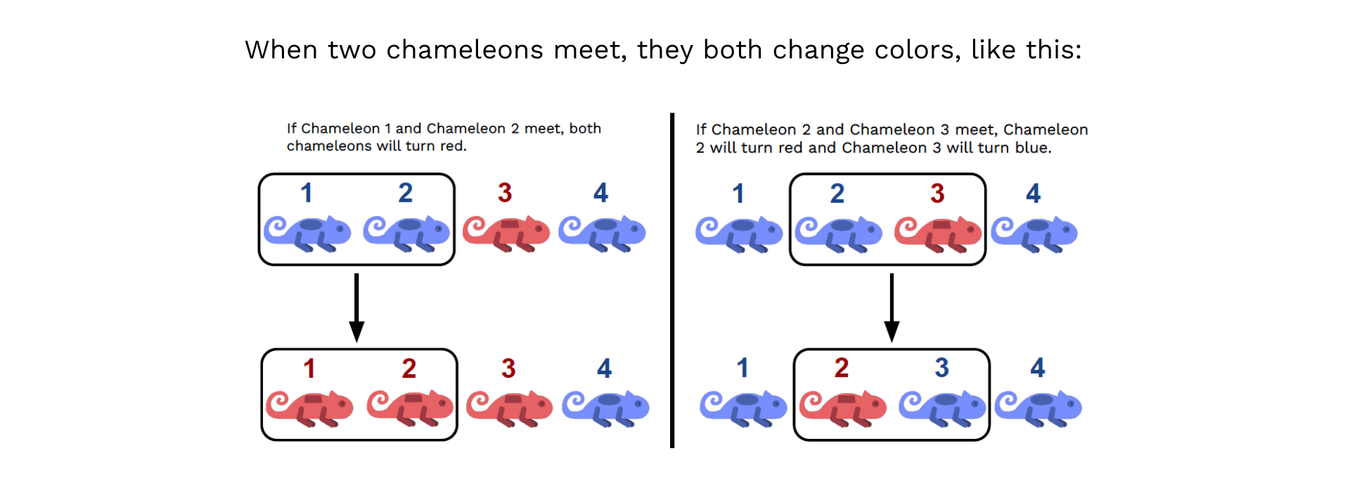 When two chameleons meet, they both change colors,.