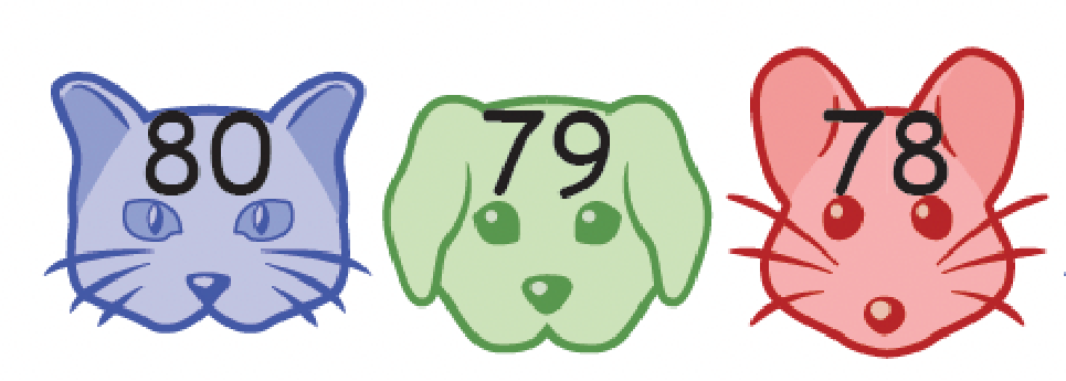 Cat, Dog, and Mouse Magic